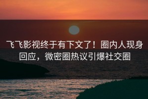 飞飞影视终于有下文了！圈内人现身回应，微密圈热议引爆社交圈