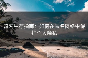 暗网生存指南：如何在匿名网络中保护个人隐私