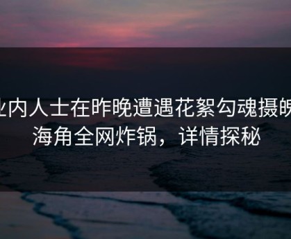 业内人士在昨晚遭遇花絮勾魂摄魄，海角全网炸锅，详情探秘