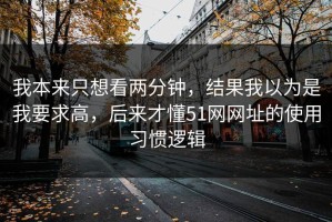 我本来只想看两分钟，结果我以为是我要求高，后来才懂51网网址的使用习惯逻辑