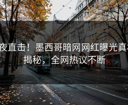深夜直击！墨西哥暗网网红曝光真相，揭秘，全网热议不断
