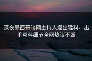 深夜墨西哥暗网主持人爆出猛料，出乎意料细节全网热议不断