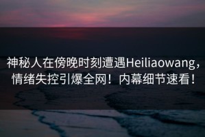 神秘人在傍晚时刻遭遇Heiliaowang，情绪失控引爆全网！内幕细节速看！