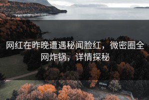 网红在昨晚遭遇秘闻脸红，微密圈全网炸锅，详情探秘