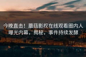 今晚直击！蘑菇影视在线观看圈内人曝光内幕，揭秘，事件持续发酵
