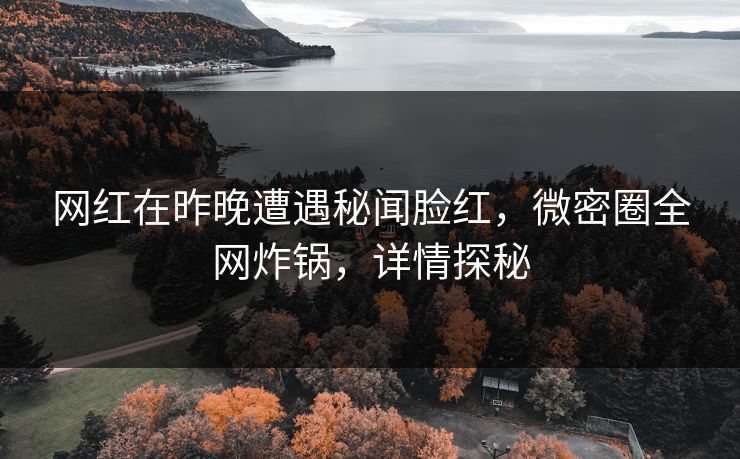 网红在昨晚遭遇秘闻脸红，微密圈全网炸锅，详情探秘