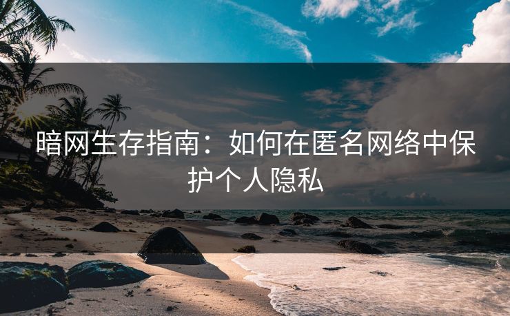 暗网生存指南:如何在匿名网络中保护个人隐私 暗网生存指南:如何在匿名网络中保护个人隐私