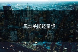 黑丝美腿轻量版