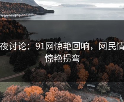 深夜讨论：91网惊艳回响，网民情绪惊艳拐弯