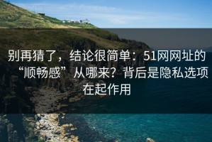 别再猜了，结论很简单：51网网址的“顺畅感”从哪来？背后是隐私选项在起作用