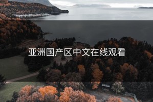 亚洲国产区中文在线观看