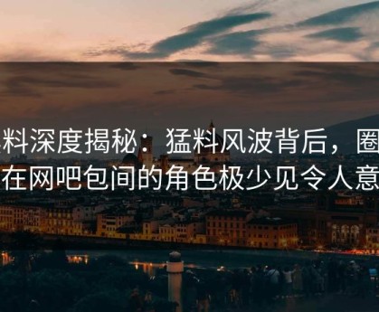 黑料深度揭秘：猛料风波背后，圈内人在网吧包间的角色极少见令人意外