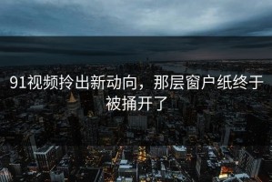91视频拎出新动向，那层窗户纸终于被捅开了