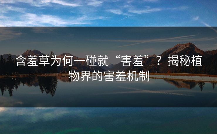含羞草为何一碰就“害羞”?揭秘植物界的害羞机制 含羞草为何一碰就“害羞”?揭秘植物界的害羞机制