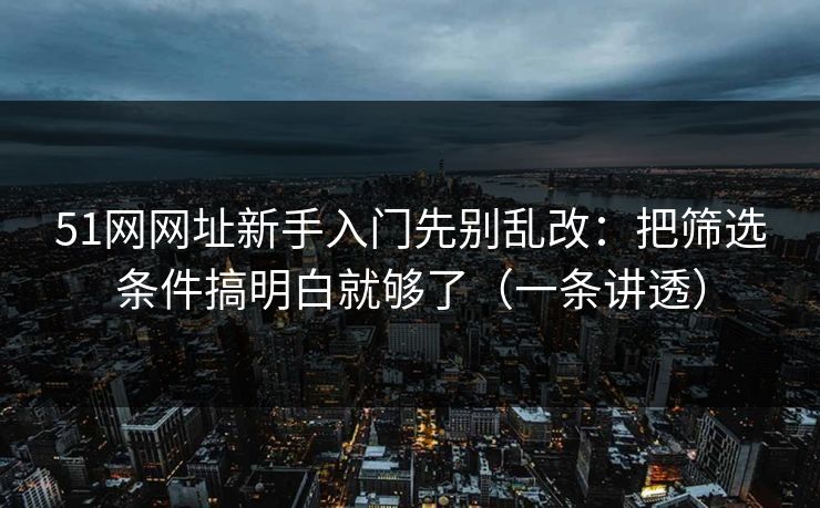 51网网址新手入门先别乱改：把筛选条件搞明白就够了（一条讲透）